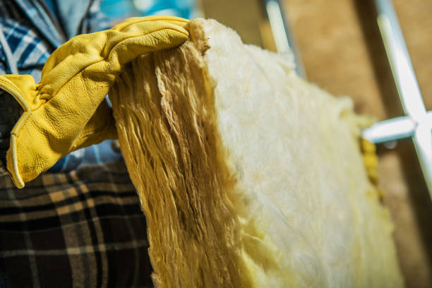 Best Geographic-Specific Insulation Services in Prairie Village, KS